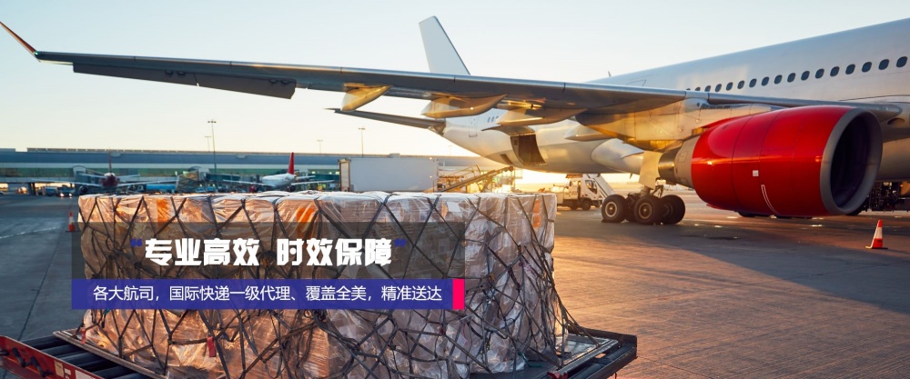 广州到沈阳空运